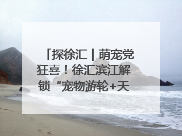 探徐汇｜萌宠党狂喜！徐汇滨江解锁“宠物游轮+天台乐园”双玩法